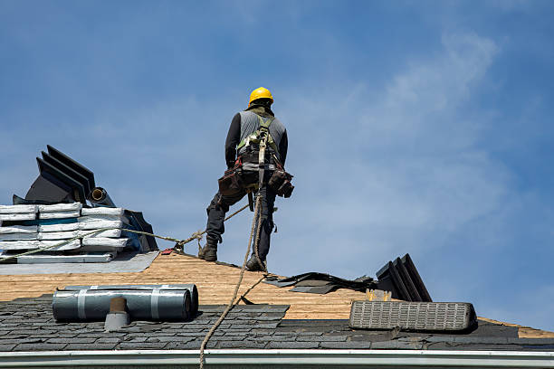 Professional Storm Damage Roof Repair technician working in Mack, CO